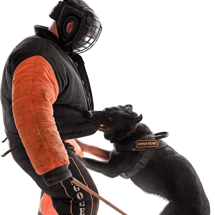 Dingo Gear Máscara protectora ligera