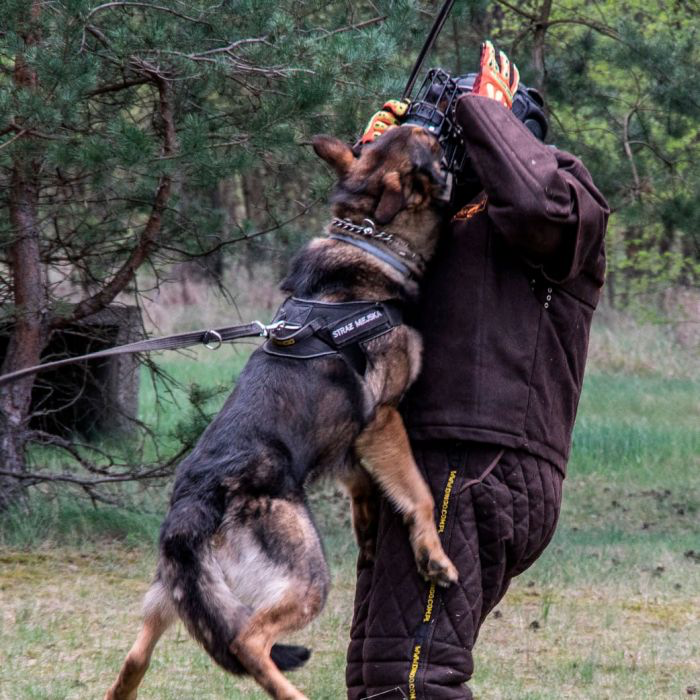Dingo Gear Máscara protectora ligera