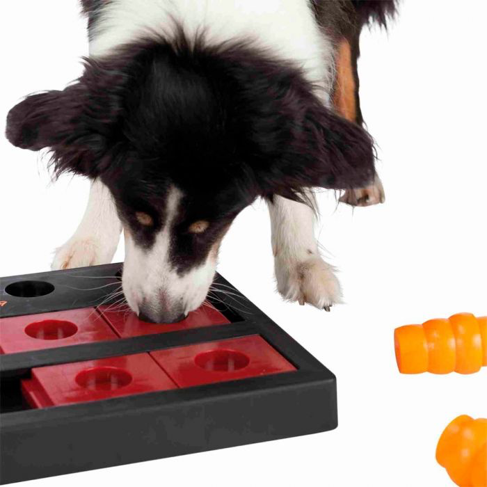 Trixie Dog Activity Chess - Nivel 3