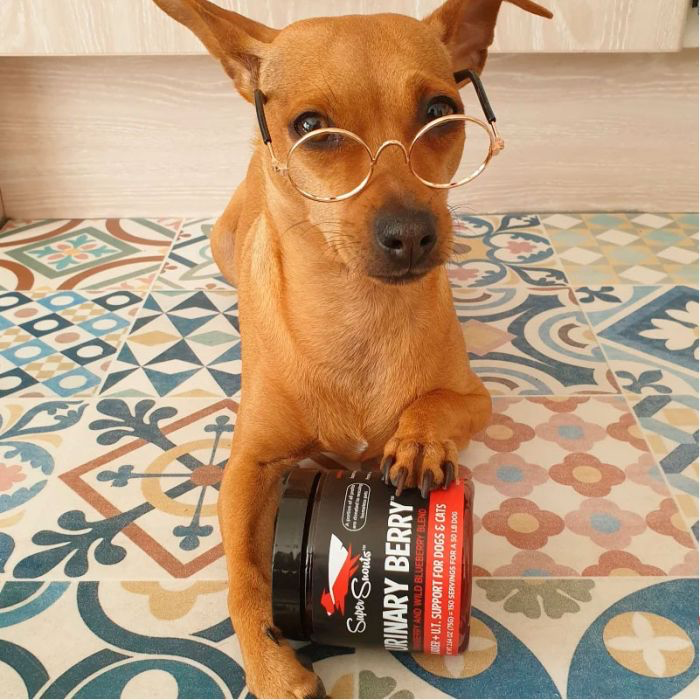 Super Snouts Urinary Berry Ayuda al tracto urinario 75 g