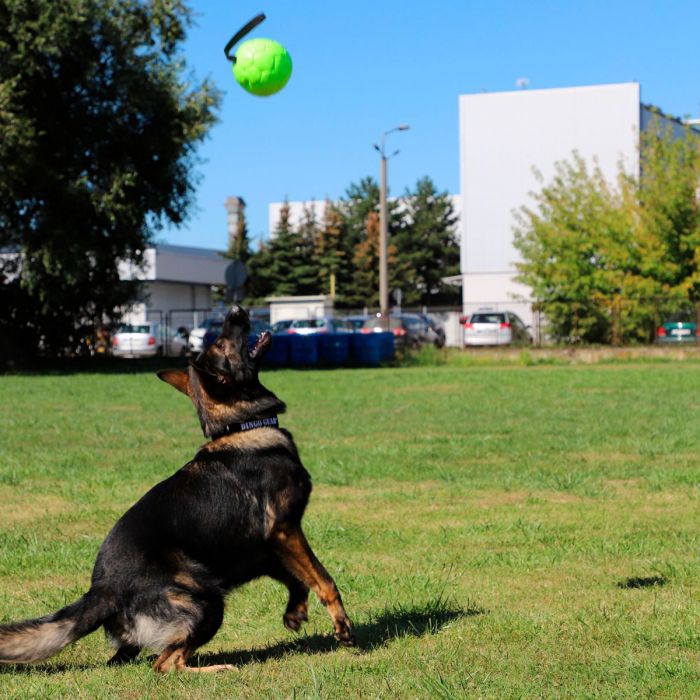 Dingo Gear Pelota inflable de ecopiel