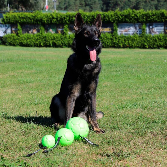 Dingo Gear Pelota inflable de ecopiel