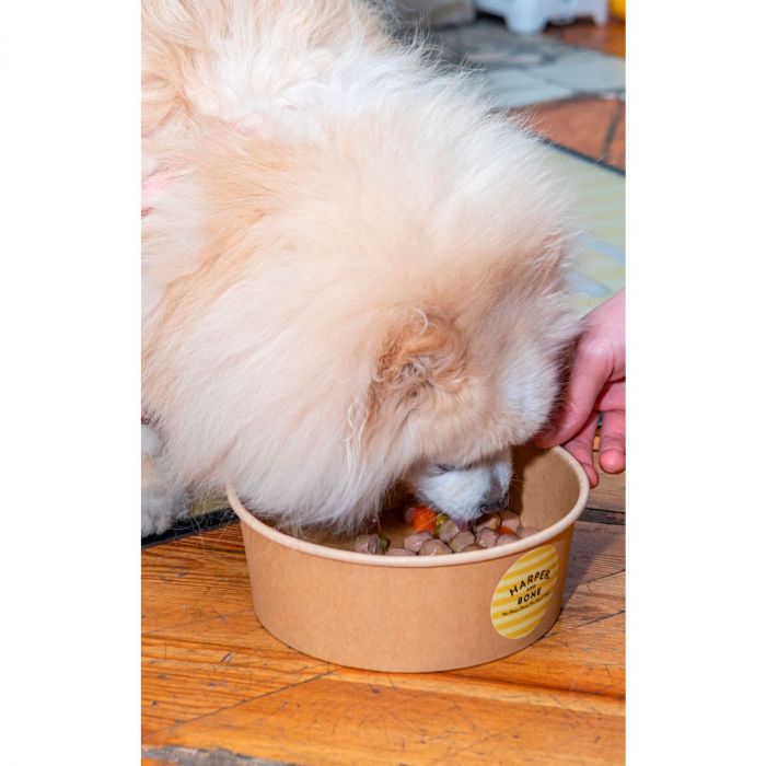 Harper & Bone Albóndigas para perros Wild Mountain