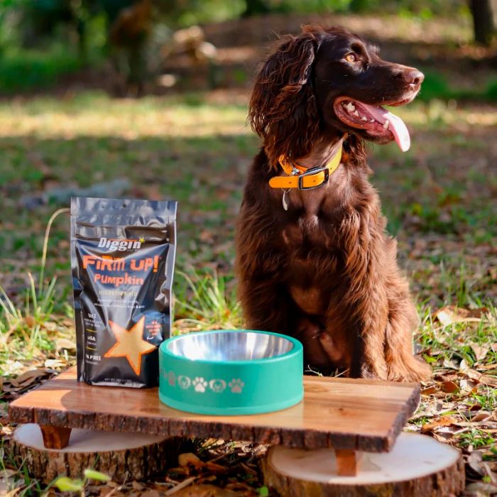 Diggin' Your Dog Firm Up! Pumpkin regulador gastrointestinal
