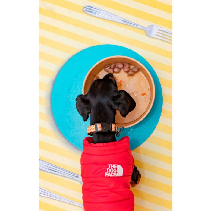Harper & Bone Albóndigas para perros Wild Mountain