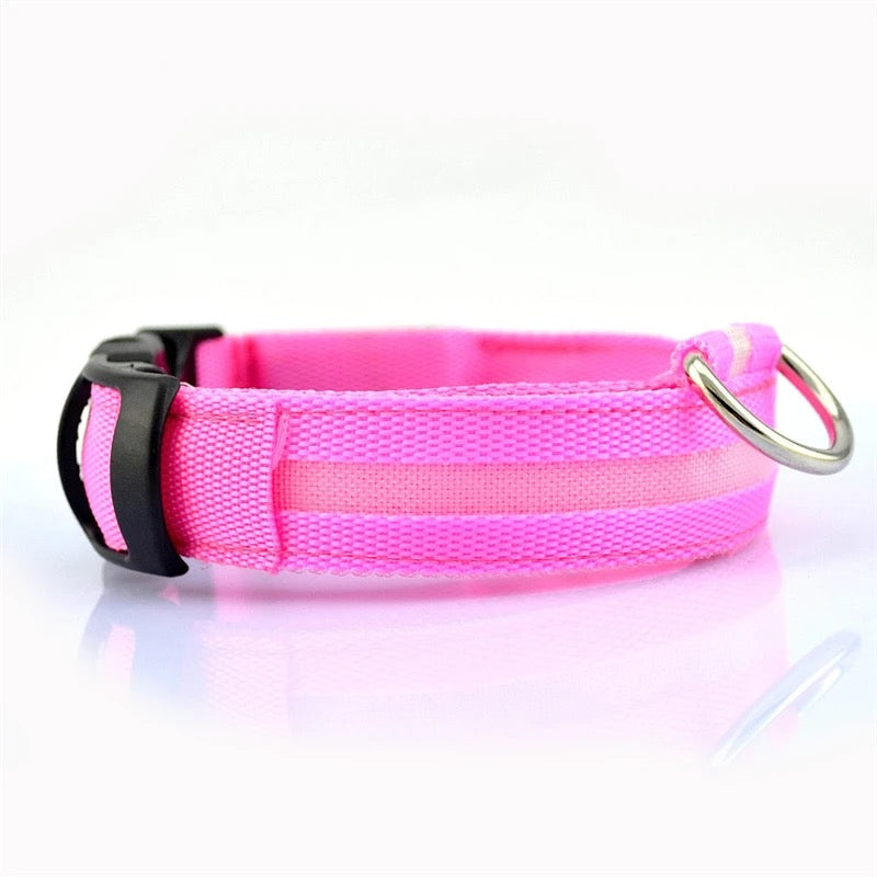 LED Glow in the Dark / Light Up Dog Collar - Pink-1