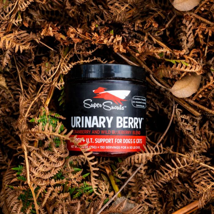 Super Snouts Urinary Berry Ayuda al tracto urinario 75 g
