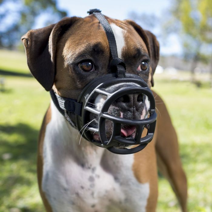 Company of Animals Bozal Baskerville Ultra Muzzle