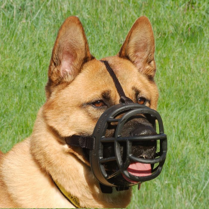 Company of Animals Bozal Baskerville Ultra Muzzle