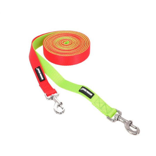 Dingo Gear Juego de dos correas para entrenamiento sin asa