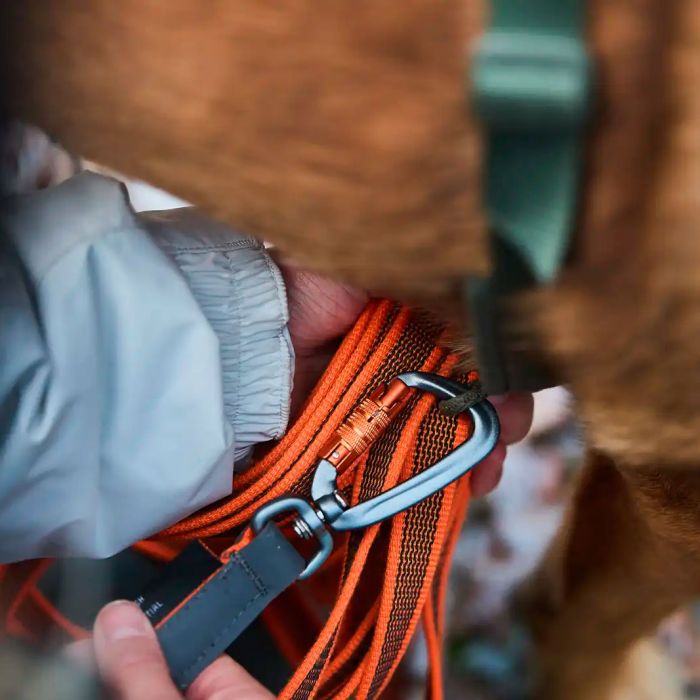 Non-stop dogwear Friction long line 20 mm