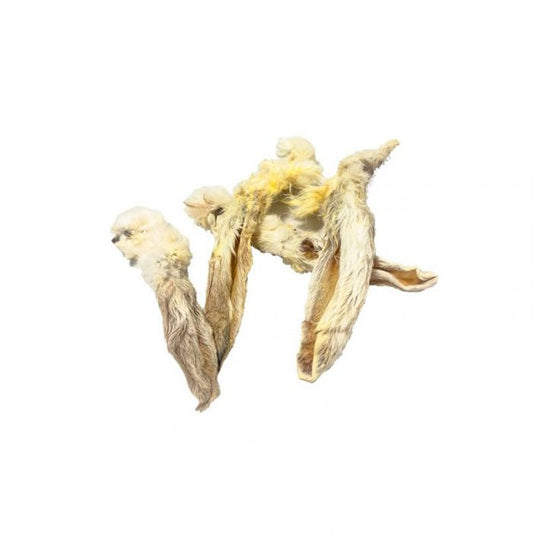 Fresh Raw Oreja de conejo con pelo 1 unidad